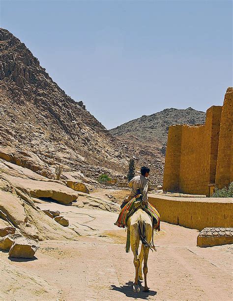 The Sinai: A desert beyond expectations | The Cruisington Times