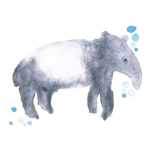 Endangered Animals in Malaysia - Rachel Chew - Design, Lettering & Illustration