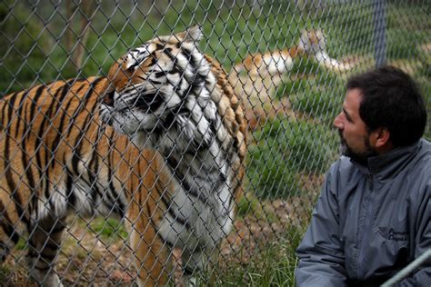 Sarah Hoffman Photo: Carolina Tiger Rescue