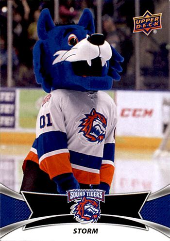 2016-17 Upper Deck AHL Hockey Video Box Break