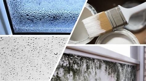 Anti Mould Paint & Anti Condensation Paint - Great Solution?