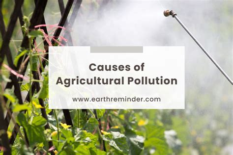 Causes and Effects of Agricultural Pollution | Earth Reminder