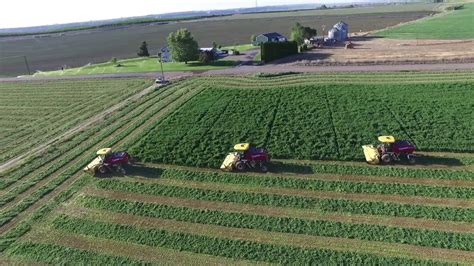 Whitby Farms Alfalfa Harvest 2018 - YouTube