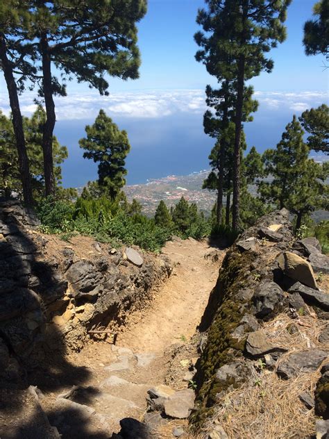 Beautiful trails in La Palma, Canary Islands, Spain. timothyallenolson.com | La palma canary ...