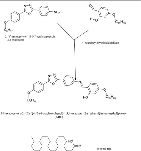 Formation of ABC; structure of Behenic acid. | Download Scientific Diagram