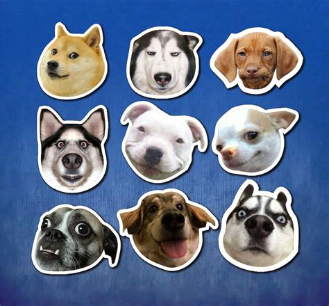 Dog Memes Stickers Funny Dog Meme Stickers Fun Dog Meme - Etsy