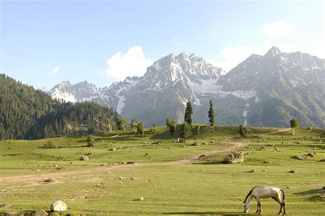 Suggest a 3 day tour itinerary for Sonamarg. - ixigo Trip Planner