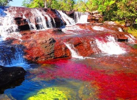 river of rainbows - Google Search | Rainbow river, Wonderful places, Liquid rainbow