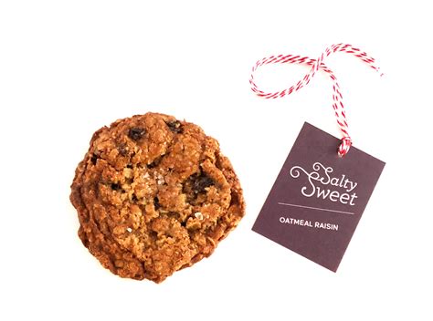 OATMEAL RAISIN COOKIES - SaltySweet