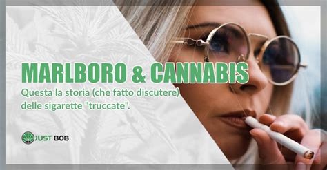 Marlboro & Cannabis: la storia delle sigarette | Justbob