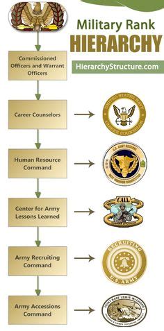 Ethiopian Military Hierarchy | Military ranks, Hierarchy, Military