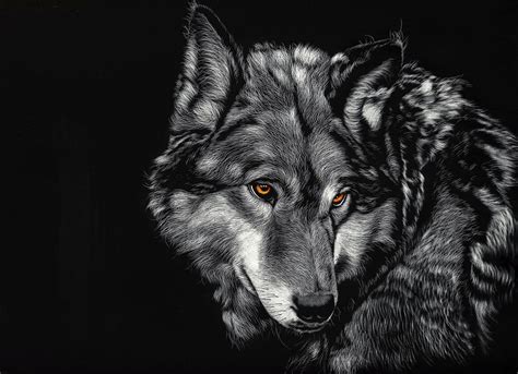 Grey Wolf 4k Wallpapers - Wallpaper Cave