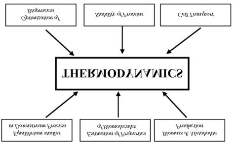 The applications of thermodynamics in various fields of biotechnology. | Download Scientific Diagram