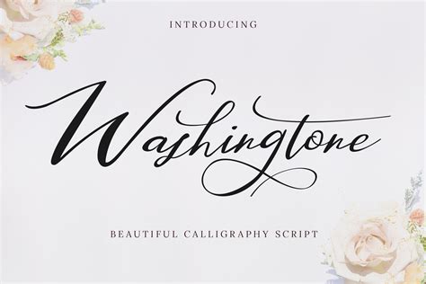 Washington Beautiful Calligraphy Script Font - Dafont Free