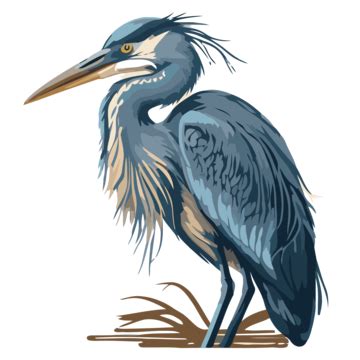 Blue Heron, Sticker Clipart Person Vector A Blue Heron, Blue Heron Drawing Cartoon, Sticker PNG ...