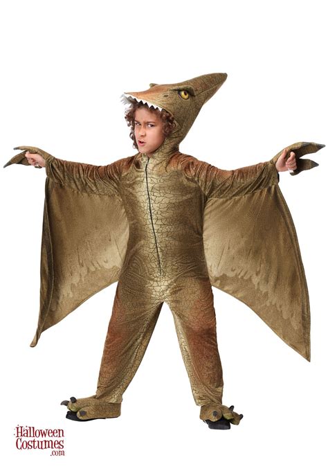 Pterodactyl Costume for Kids | Dinosaur halloween costume, Dinosaur costume, Pterodactyl costume