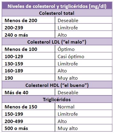 ¿Qué es la hipercolesterolemia? Síntomas y tratamiento | El Camino de Tanit