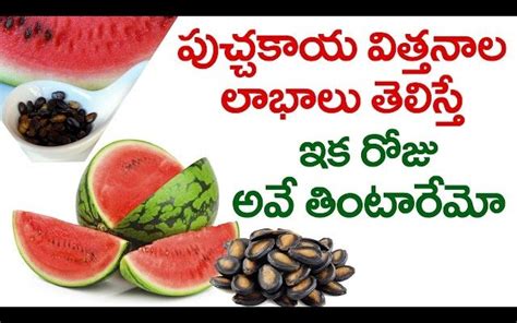 Watermelon Seeds Health Benefits: పుచ్చకాయ గింజలను పారేస్తున్నారా ...