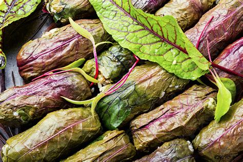 Traditional Turkish dolma - stock photo 2929018 | Crushpixel