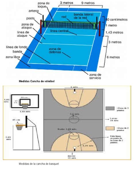 Las Dimensiones De La Cancha De Voleibol Y Su Marcado | Images and ...