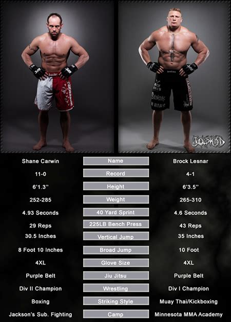 Brock Lesnar: Heavier, stronger and faster than Shane Carwin | Superfights