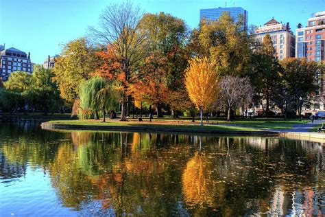 Boston Public Garden Vibrant Fall Colors Photograph by Toby McGuire - Pixels