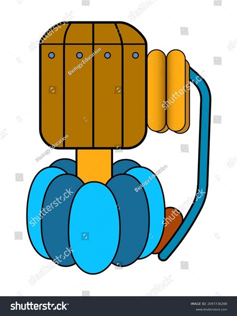 Atp Synthase Enzyme That Makes Atp Stock Illustration 2097736288