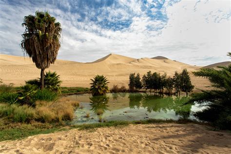 Peruvian Desert Oasis | The beautiful desert oasis of Huacac… | Flickr