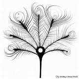 Peacock Feather Coloring Pages  Free & Printable sketch template