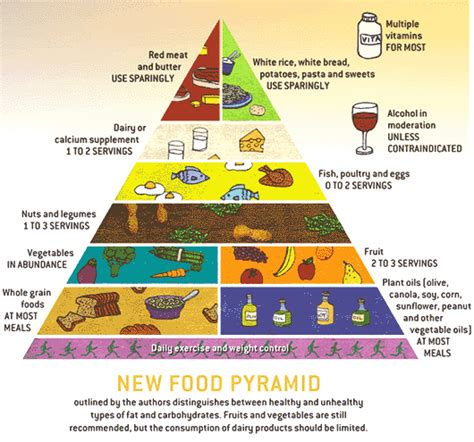 food pyramid 2011