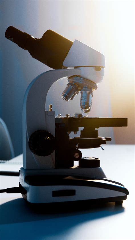 Optical Microscopy | Analysis Services | Measurlabs