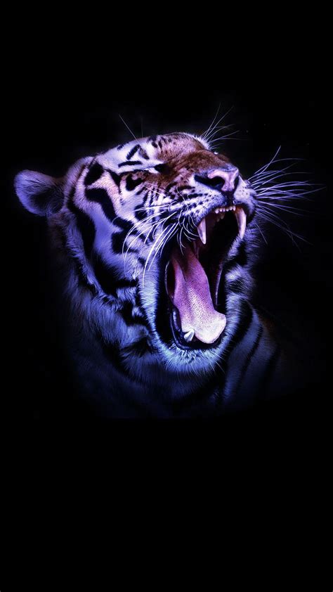 Tiger Phone Wallpapers - Wallpaper Cave