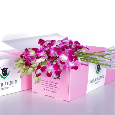 Buy Orchids Dendrobium Purple in Pink Box | Florist Dubai