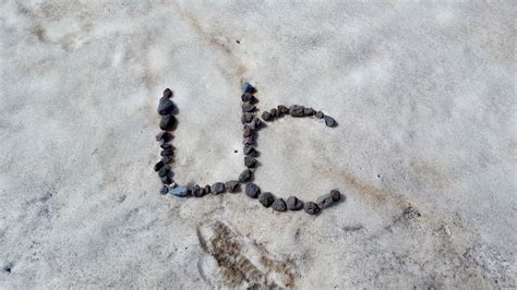 Pink snow, University of Cincinnati