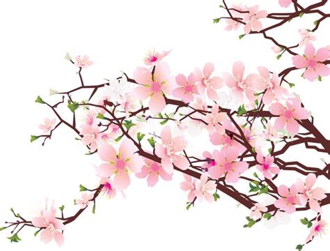 Free Cherry Blossom Clipart, Download Free Cherry Blossom Clipart png ...