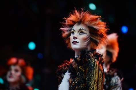 Production images released for Cats in Blackpool | Image cat, Cats musical, Cats