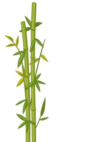 Bamboo tree vector illustration 534568 Vector Art at Vecteezy