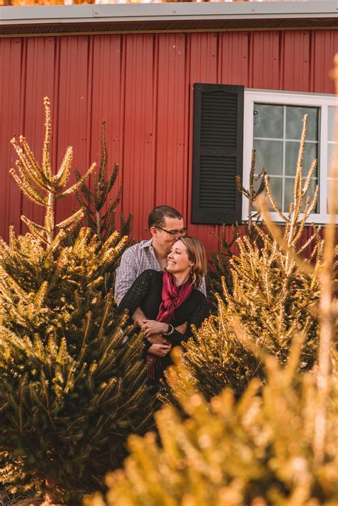 Austin Family - Mini session at the Christmas Tree Farm - Kristin Brown Photography