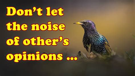 Get Motivated with Inspirational Quotes with Birds and Melodious Music - YouTube