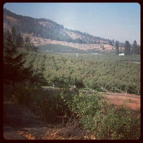 Peshastin, WA | Ridge winery, Natural landmarks, Washington state