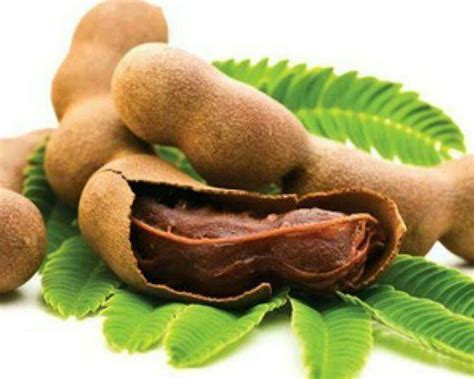 Tamarind pods: health benefits and nutrition values - Sugar Zam