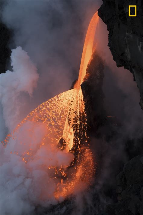 Winners of the 2017 National Geographic Nature Photographer of the Year