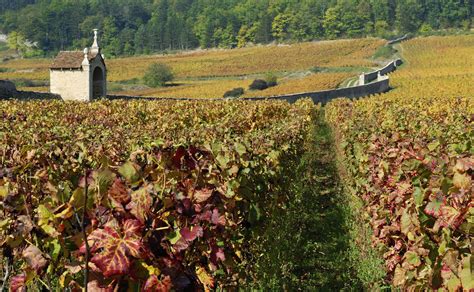 Top French Wine Tours, Regions and Wine Routes