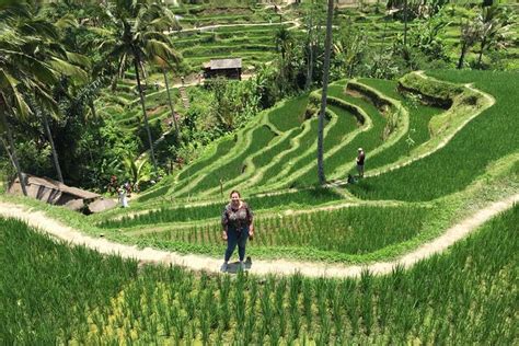 Best Ubud Tour With Jungle Swing And Lunch