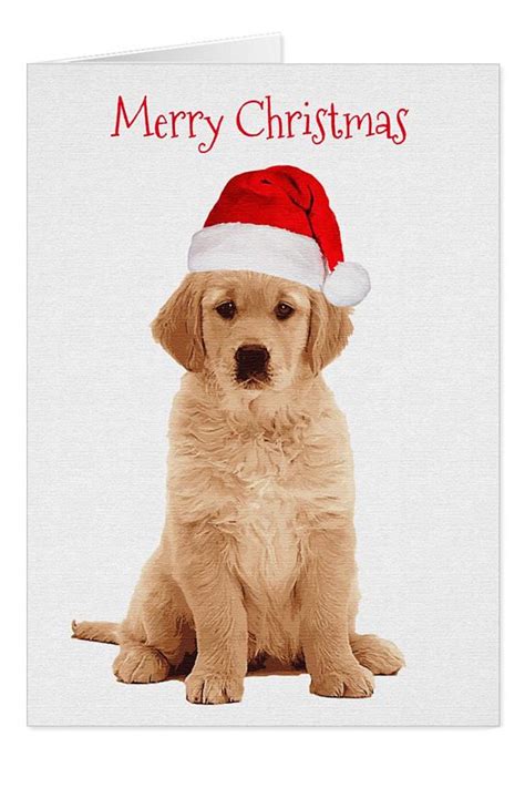 This item is unavailable | Etsy | Golden retriever christmas, Golden retriever christmas card ...