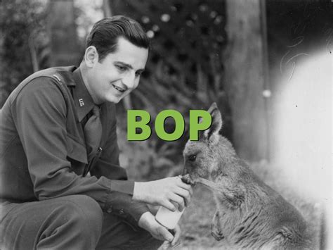 BOP » What does BOP mean? » Slang.org