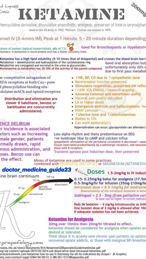 Difference between opioid and opiate definition facts mechanism of ...