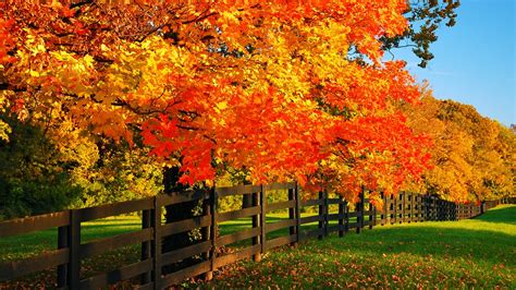 When do fall colors peak in Ohio? Here's a fall foliage timeline | wkyc.com