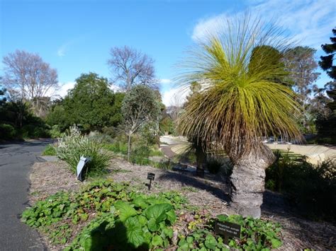 Geelong Botanic Gardens walk, Eastern Park - Walking Maps