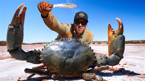 GIANT CRAB Caught By HAND- EATING and COOKING on a Fire - YouTube